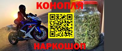 каннабис Гай